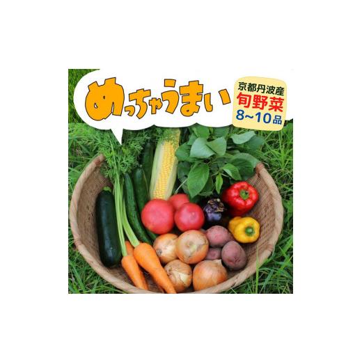 ふるさと納税 京都府 亀岡市 ＜３６９商店＞京都丹波産旬の野菜セット　※全て栽培期間中農薬・化学肥料不使用※