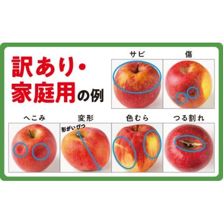 ふるさと納税 りんご サンふじ 家庭用 5kg 令和5年度収穫分 沖縄県への配送不可 2023年12月上旬頃から2024年1月中旬頃まで順次発送予定 宮本ファ.. 長野県飯綱町