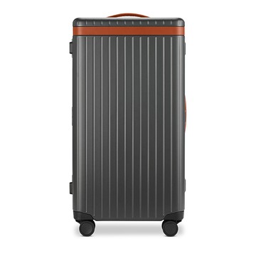 Carl Friedrik Large Check In Trunk