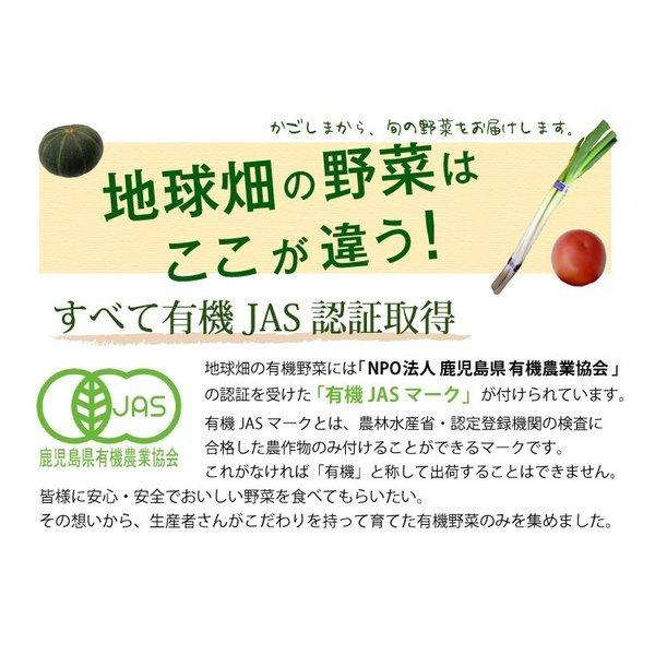 有機野菜セット おまかせ７品目 九州産 鹿児島県 有機栽培 有機JAS 冷蔵便 オーガニック 無農薬 西日本 詰め合わせ 送料無料