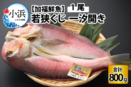 若狭ぐじ 一汐開き 1尾 800g　甘鯛 タイ アカアマダイ 焼き魚 高級[C-015003]