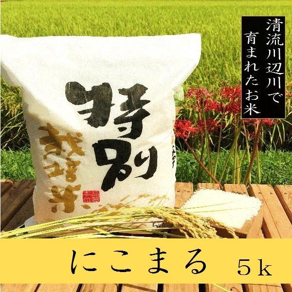 新米にこまる 5kg 令和5年産　熊本県産 特別栽培米　精白米