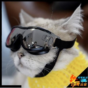 【台灣出貨】狗狗墨鏡 貓貓墨鏡 寵物防風護目鏡 柯基 邊牧 泰迪 防光防飛濺 防沙防嗮 防紫外線 寵物太陽眼鏡