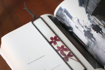 植物圖鑑∣使君子花∣玻璃鑲嵌∣花草標本書籤