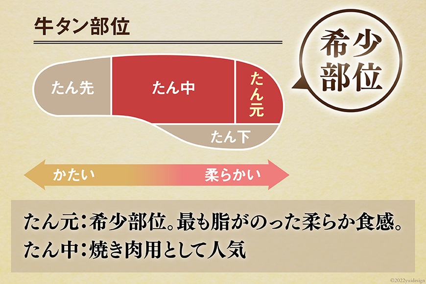 大人気！ 牛タン 厚切り牛タン塩味 500g   モ～ランド本吉   宮城県 気仙沼市 [20562921_CF02] 焼肉 牛肉 精肉 牛たん 牛タン塩 牛たん塩 冷凍 BBQ アウトドア バーベキュー