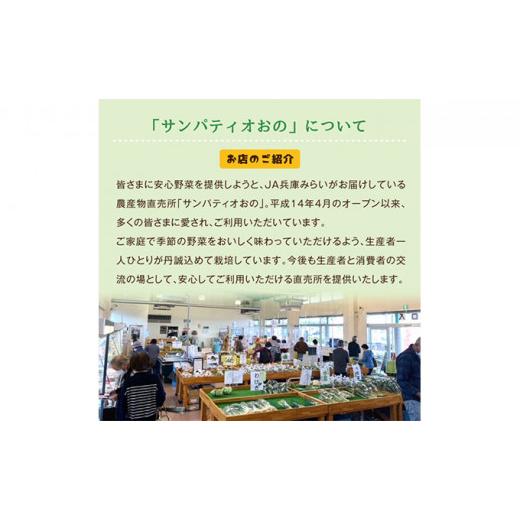 ふるさと納税 兵庫県 小野市 小野市産季節の野菜セット！