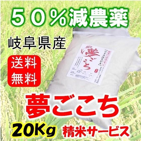 令和５年産 特別栽培米 岐阜県産 夢ごこち 玄米20Kg（10kg×2）精米サービス 北海道 沖縄 離島は追加送料