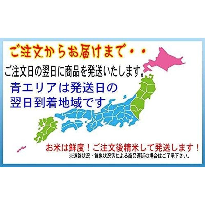 令和4年産 宮崎産 コシヒカリ 5kg こしひかり (玄米のまま 5kgでお届け)