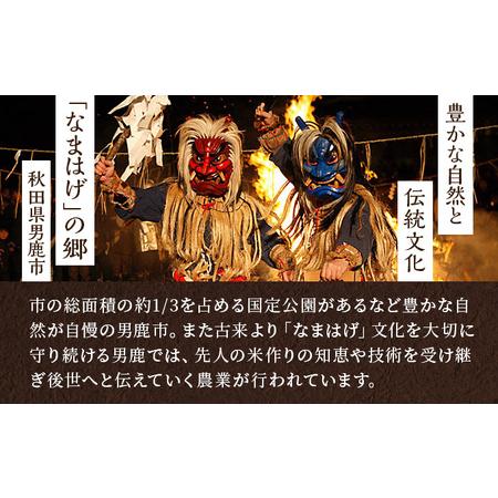 ふるさと納税 定期便 無洗米 令和5年産 あきたこまち 5kg×1袋 3ヶ月連続発送（合計 15kg） 秋田食糧卸販売 秋田県男鹿市