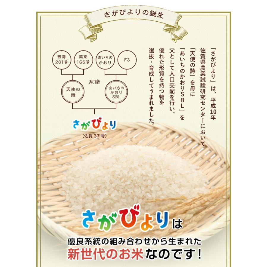 新米　お米 5kg 送料無料 さがびより 佐賀県産　令和5年度 5kg