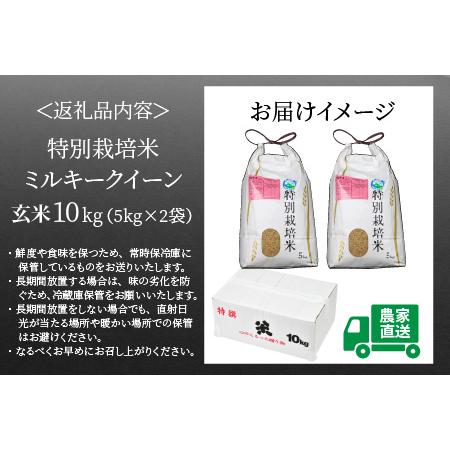 ふるさと納税 特別栽培米 ミルキークイーン 玄米 5kg×2袋（計10kg） 農薬不使用 化学肥料不使用 ／ 高品質 鮮度抜群 福.. 福井県あわら市