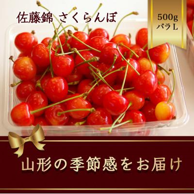 ふるさと納税 山形県 佐藤錦 さくらんぼ L 500g バラ詰め　