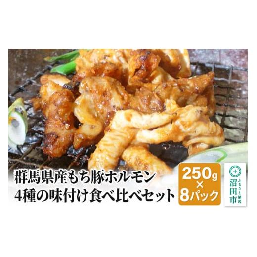 ふるさと納税 群馬県 沼田市 群馬県産もち豚ホルモン2kg（250g×8パック）4種の味付け食べ比べセット 群馬県 特産品