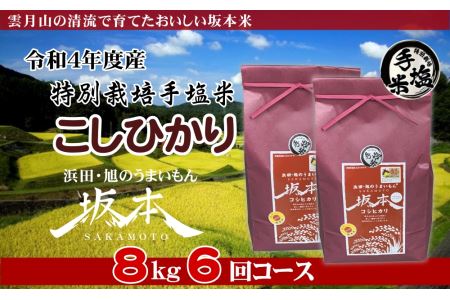 1037.浜田・旭のうまいもん「坂本」特別栽培手塩米こしひかり4㎏×2袋×6回