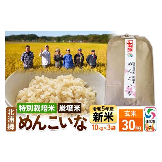 ふるさと納税 秋田県 仙北市 新米令和5年産 玄米 10kg3袋