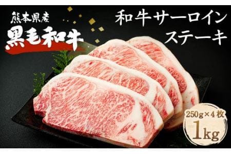 熊本県産 黒毛和牛 サーロイン ステーキ 計1kg（250g×4）国産 牛肉
