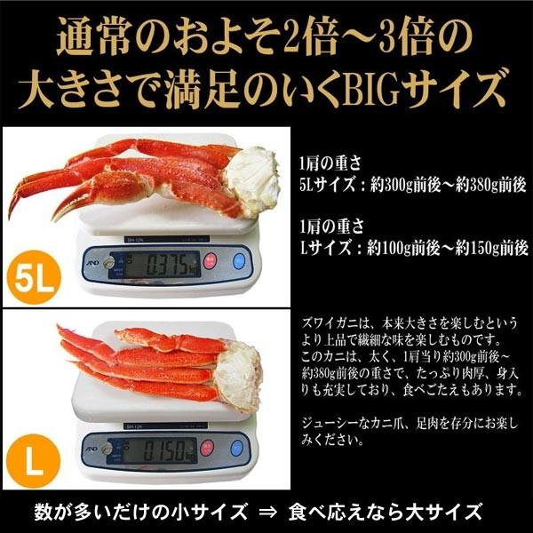 ギフト カニ かに 蟹 ギフト カニ 生 ズワイガニ ５L 約３kg（解凍前正味2.5kg）約7肩〜8肩前後 加熱用 セール 鍋セットに 送料無料