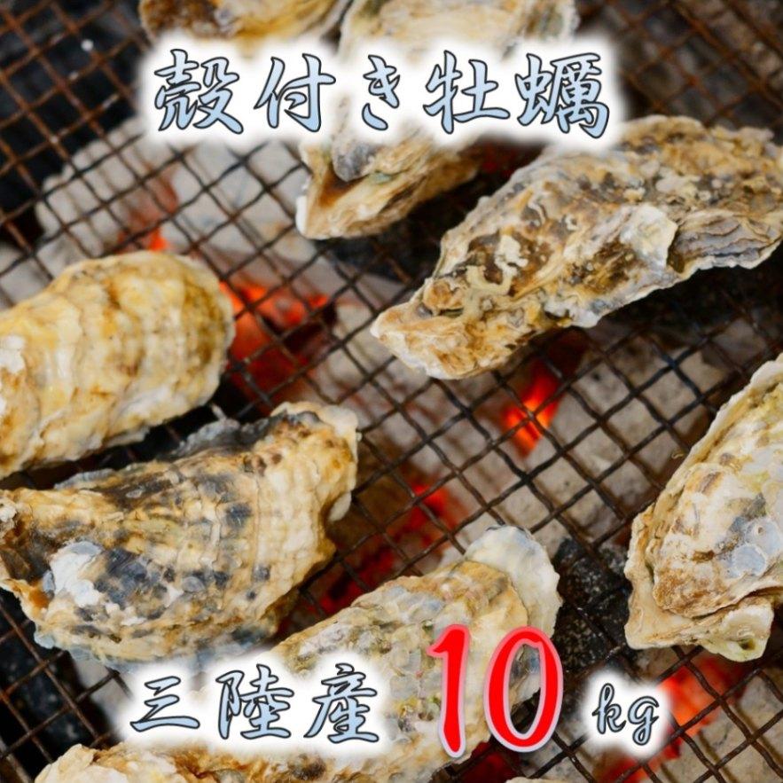 かき 加熱用 みちのく三陸産 殻付き牡蠣 10kg 産地直送 カキ バーベキュー パーティー 焼く 煮る 揚げる 等様々なお料理に