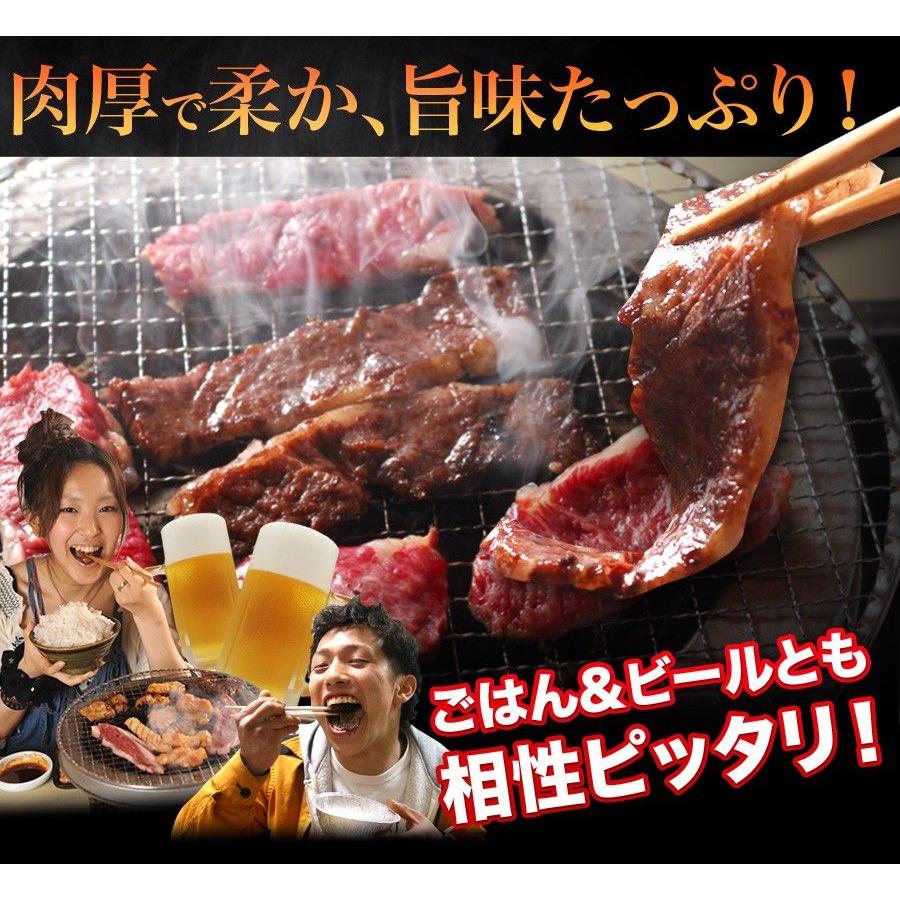 お歳暮 肉 ホルモン バーベキュー セット 大人も子供も嬉しい 4〜5人前 和牛 カルビ ロース 特選ハラミ 牛タン 等 送料無料