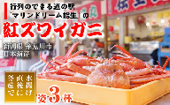 2024年3月以降出荷予約紅ズワイガニ×3杯 日本海直送 紅ずわいがに 姿 新潟県糸魚川 マリンドリーム能生のカニ屋横丁からお届け！ ベニズワイガニ お届け日指定可能