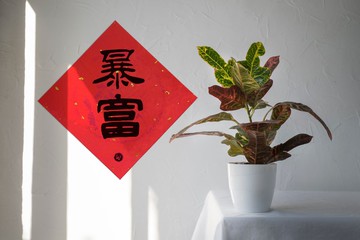 暴富 新年快樂  春聯 佈置 節慶 方斗_ 洛可可