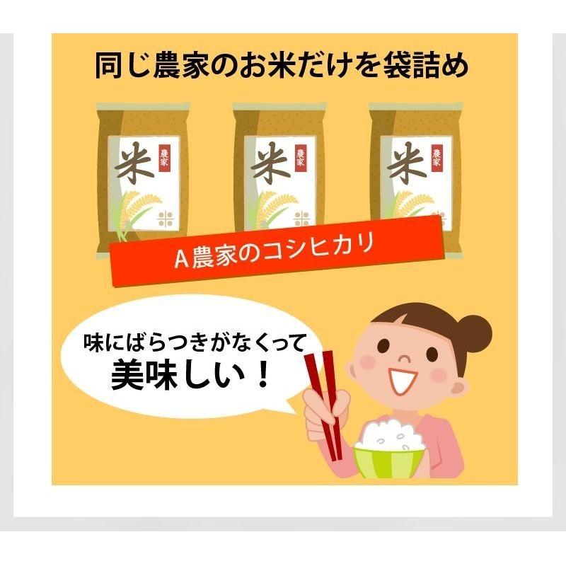 ＼新米入荷／ 米 玄米 5kg きぬむすめ 厳選農家 玄米 白米 選択可 令和5年兵庫県産 産地直送