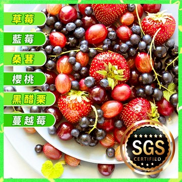 6種混搭 歐式莓果 | 草莓+藍莓+黑醋栗+蔓越莓+桑葚+黑櫻桃【海產教父】