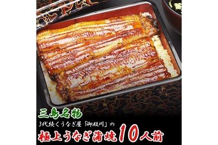 三島名物 うなぎ 蒲焼 (真空パック) 10人前（1人前あたり120g～140g）