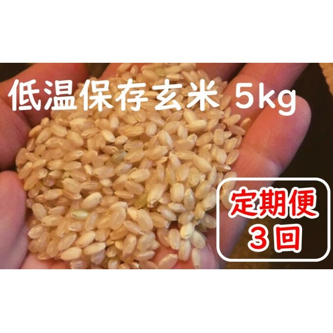 定期便 3回 米 5kg 玄米 ゆめつくし