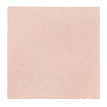 DOG CAT STAR 汪喵星球 日本寵物防滑地墊  易於清潔  材質安全  40 x 40cm  浪漫櫻花粉  10個