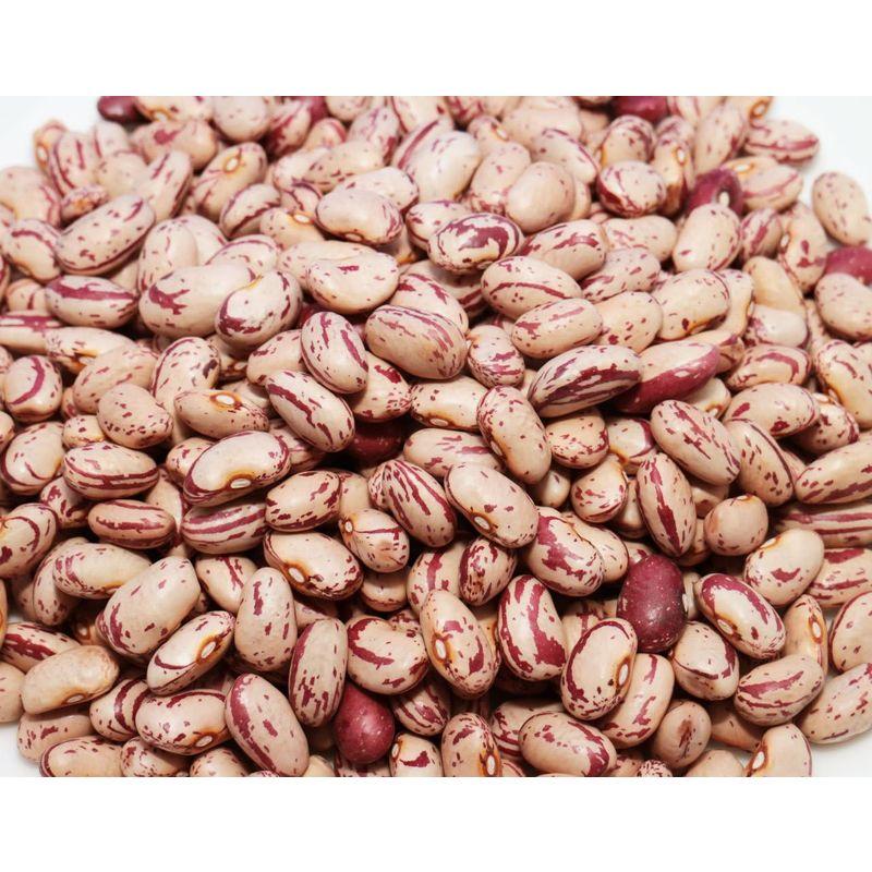 豆力 豆専門店のうずら豆（クランベリー豆） 200g×3袋 メール便