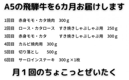 A5飛騨牛　定期便　6カ月ちょこちょこお届け（焼肉・すき焼き・ステーキ）☆