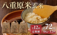 八重原米6kg（2kg×3袋）玄米