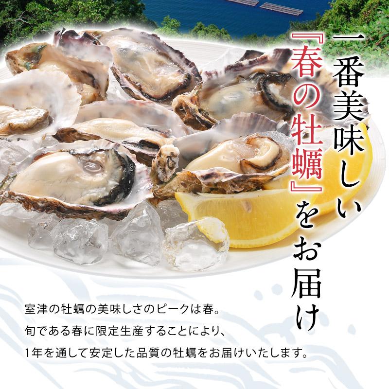 牡蠣 兵庫県室津産 ハーフシェルオイスター 殻付き 生食用 10個入り［冷凍］ 