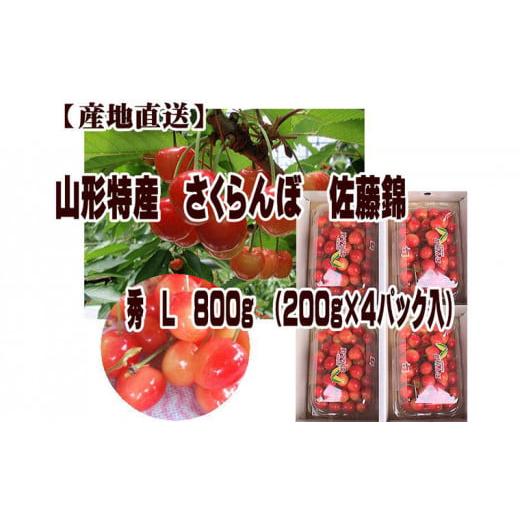 ふるさと納税 山形県 山形市 山形特産 さくらんぼ 佐藤錦 L 800g(200g×4パック入) FU22-072