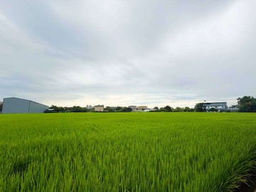 降價8980萬中興路旁方正面寬美農地｜桃園市中壢區內壢段