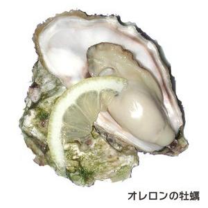 牡蠣 オレロン島の活牡蠣 加熱用 96ケ 殻付き牡蠣 フランス産 オイスター 完全予約品 冷蔵