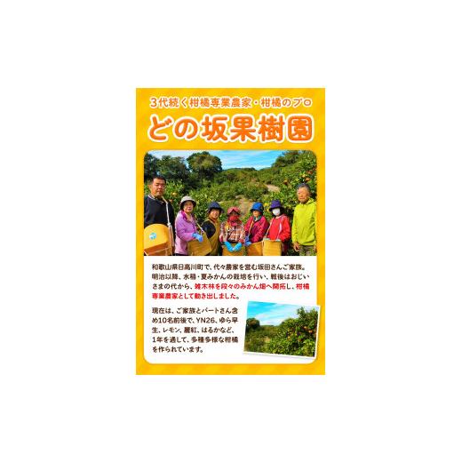 ふるさと納税 和歌山県 日高川町 早生 みかん 約 5kg (2S〜Lサイズ) どの坂果樹園《12月上旬-1月末頃より順次出荷》 和歌山県 日高川町 みかん 早生  旬 柑橘 …