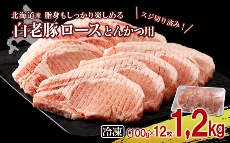 北海道産 白老豚 ロース とんかつ用 100g×12枚