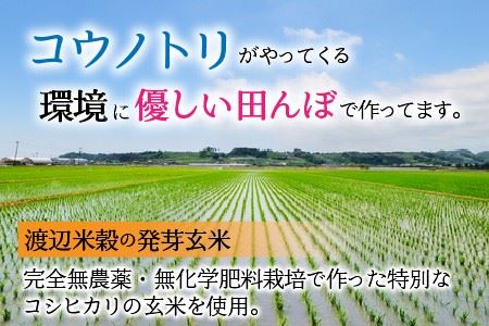 無農薬 福井県産 コシヒカリ特選 真空パック 3kg  ～玄米以上の栄養価と白米に近い柔らかさ～ [A-2922]