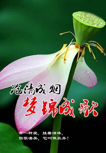 【電子書】沧清成烟，梦锦成歌