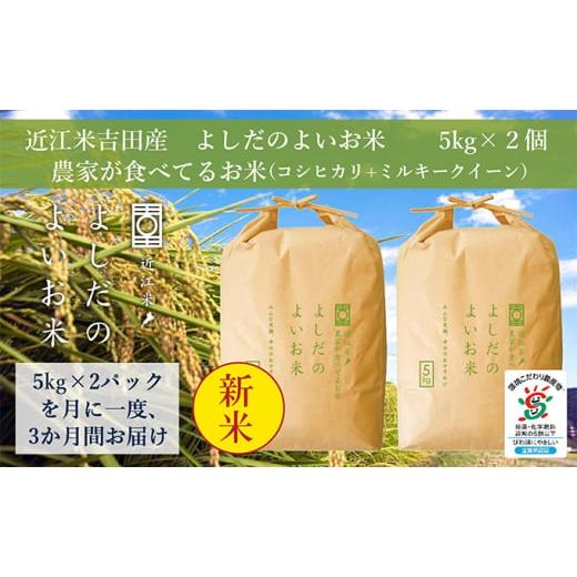 ふるさと納税 滋賀県 豊郷町 令和5年産新米　よしだのよいお米 近江米農家が食べてるお米　10kg×3回