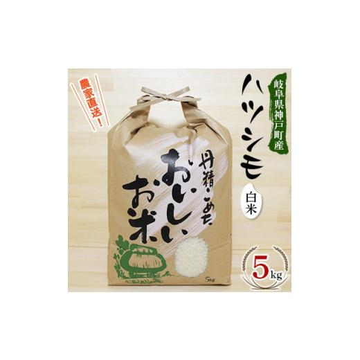 ふるさと納税 岐阜県 神戸町 ＜令和5年産＞岐阜県神戸町:農家直送!岐阜ハツシモ　白米　5kg