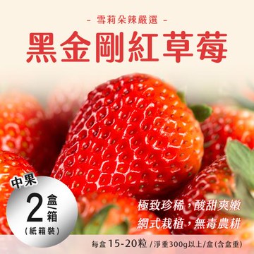 【雪莉朵辣嚴選】黑金剛紅草莓 (中果/15-20粒/淨重300g/盒)x2盒