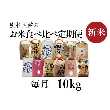 ふるさと納税 令和5年度　阿蘇の美味しいお米定期便　10kg（5kg×2）×12か月 熊本県阿蘇市