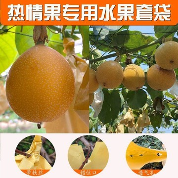 🔥在臺出貨🔥熱情果專用套袋水果袋防曬防雨水防塵防蟲批發哥倫比亞熱情果套袋