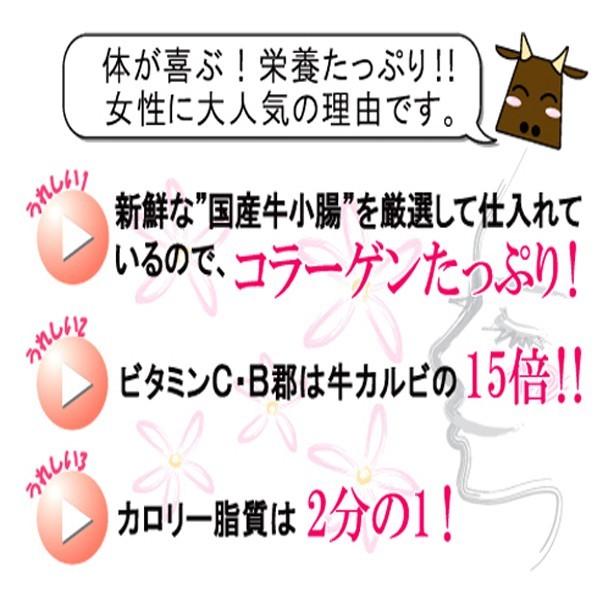 小腸 肉 ホルモン 鍋 宮崎県産 黒毛和牛 大とろ 小腸 150g お試し ホルモン  ３点以上購入で送料無料 