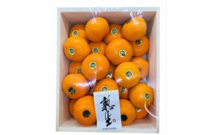 希少品 完熟「熟生 中島みかん」 2kg