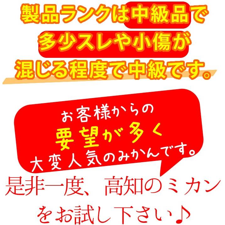 山北みかん　MSサイズ限定5kg みかん蜜柑 中級品　高知産