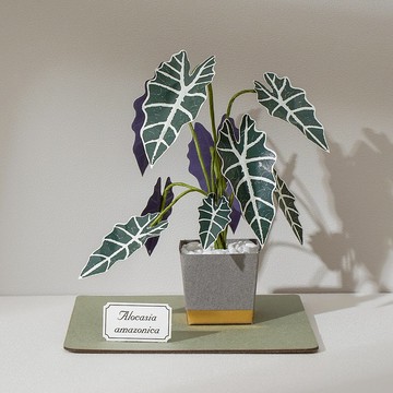 【黑葉觀音蓮】 紙模型 紙植栽 材料包 紙風景 L| 9028408